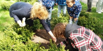 Bērni no Ukrainas stāda saulespuķes