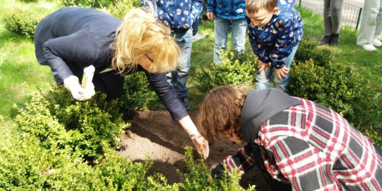 Bērni no Ukrainas stāda saulespuķes