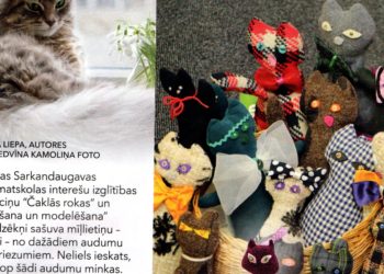 Rokdarbu pulciņa darbi publicēti žurnālā “ROKDARBI”